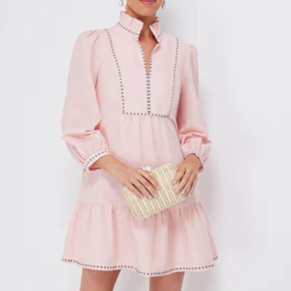 Tuckernuck Pink Mini Dress